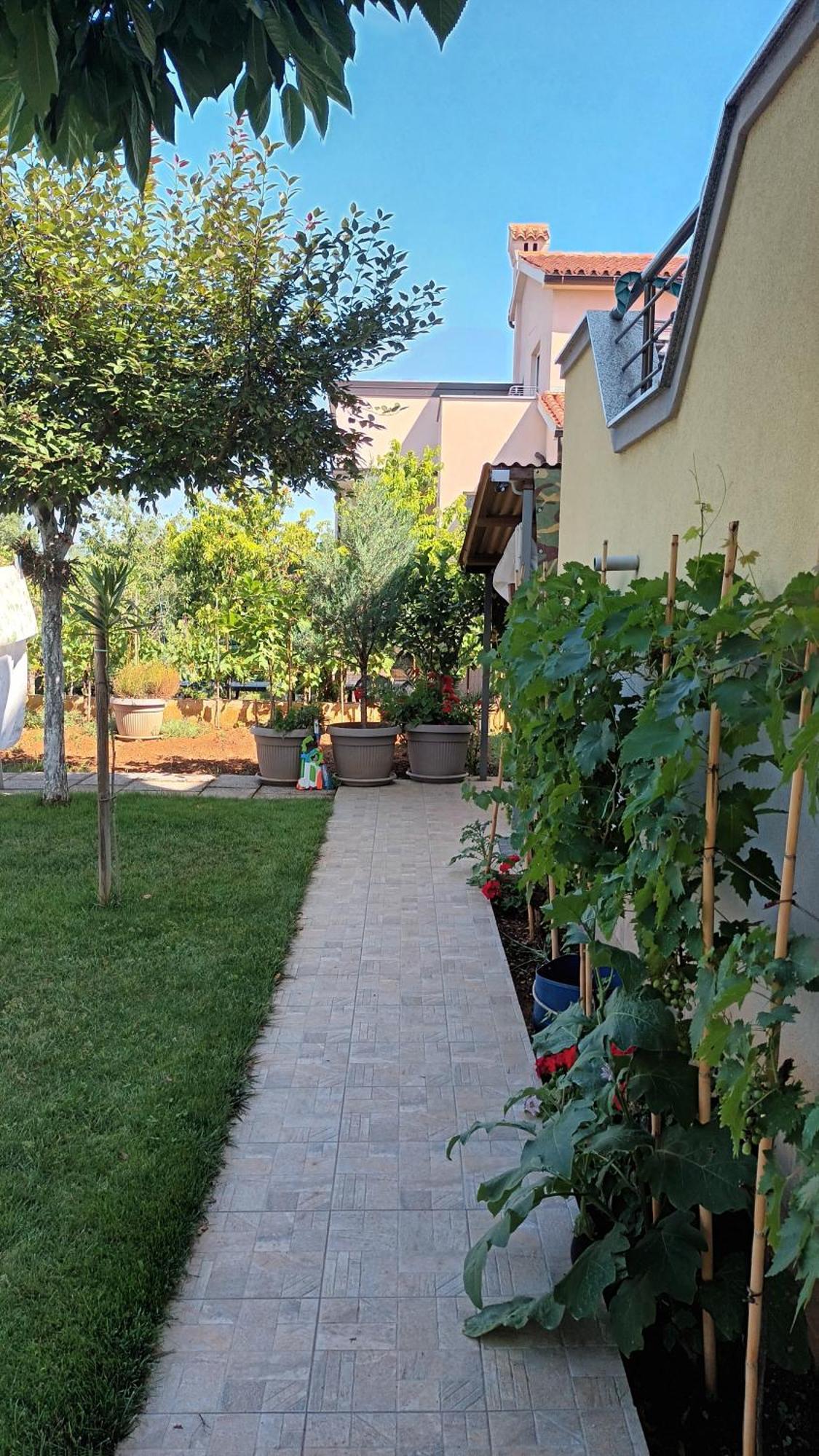 Apartments Monte Magno Pula Exterior photo