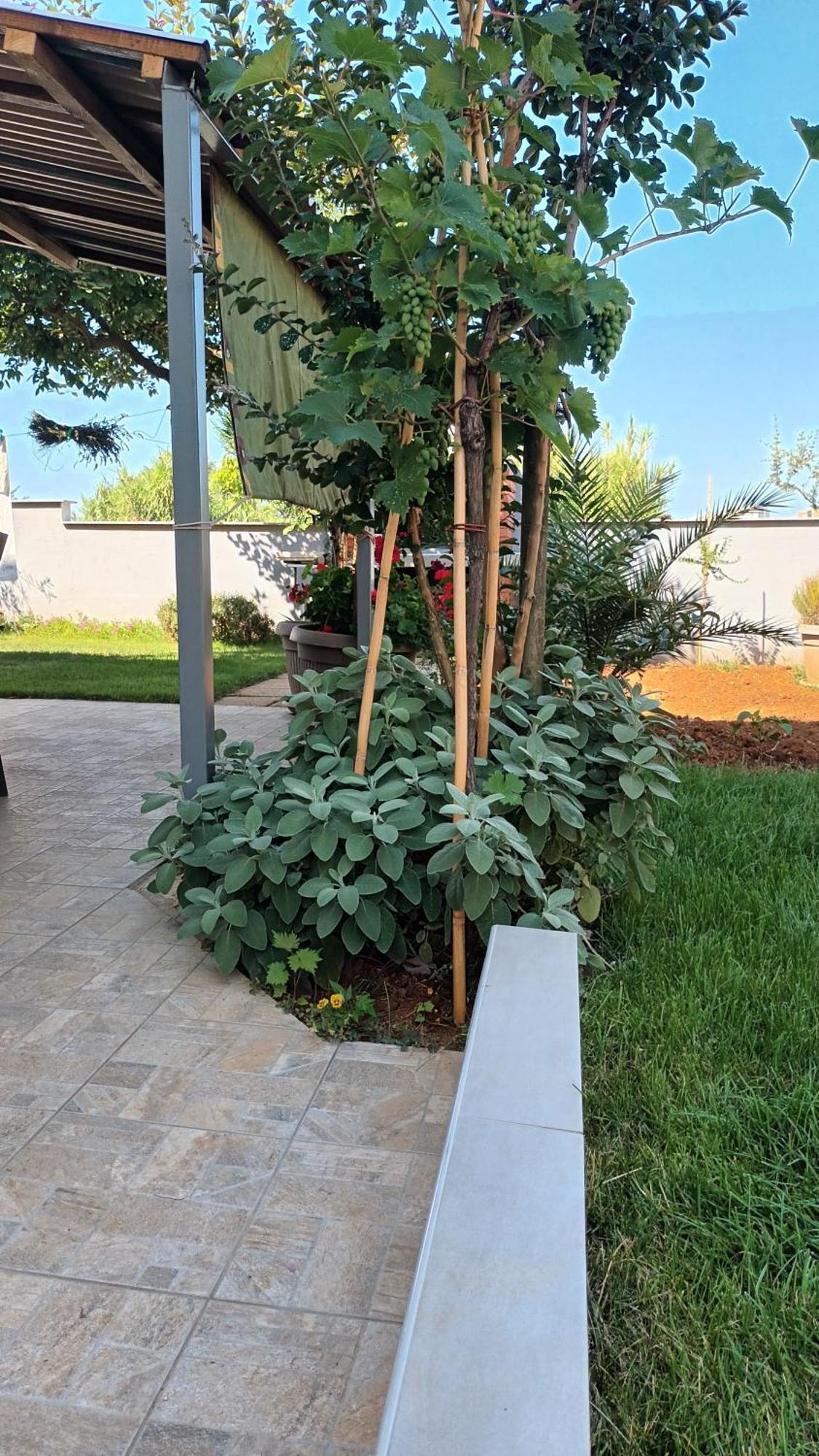 Apartments Monte Magno Pula Exterior photo