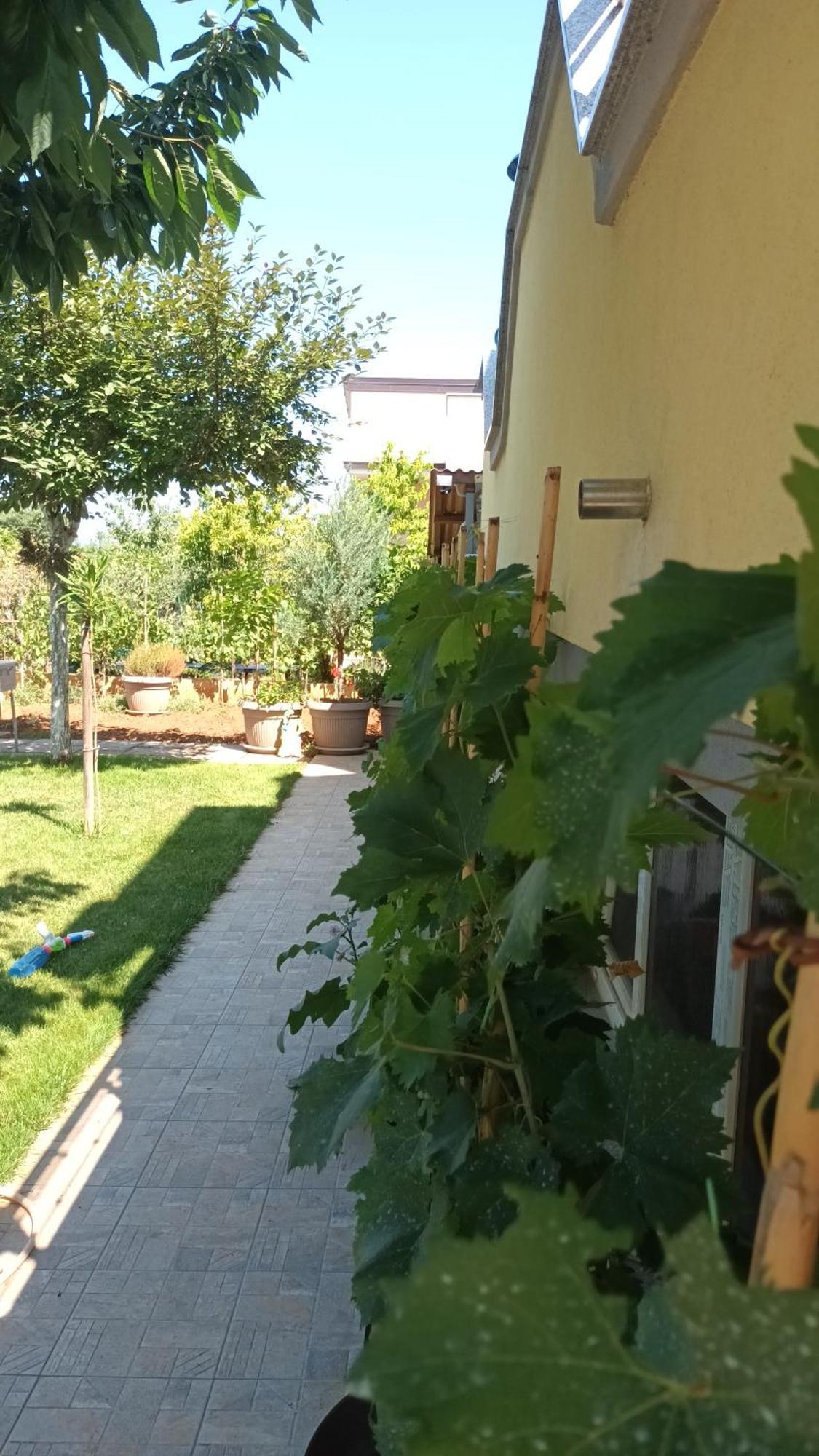 Apartments Monte Magno Pula Exterior photo
