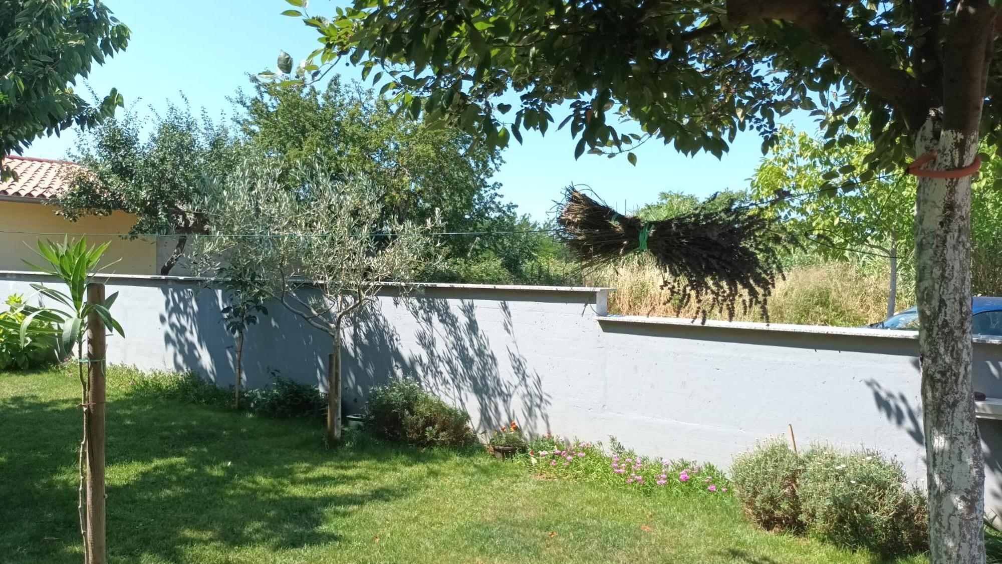 Apartments Monte Magno Pula Exterior photo